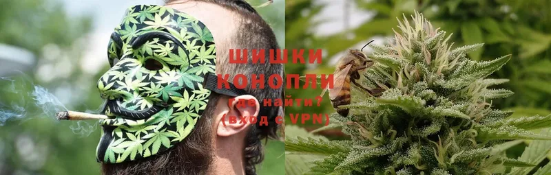 Канабис OG Kush  Клин 